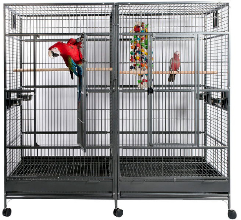 cockatoo bird cage