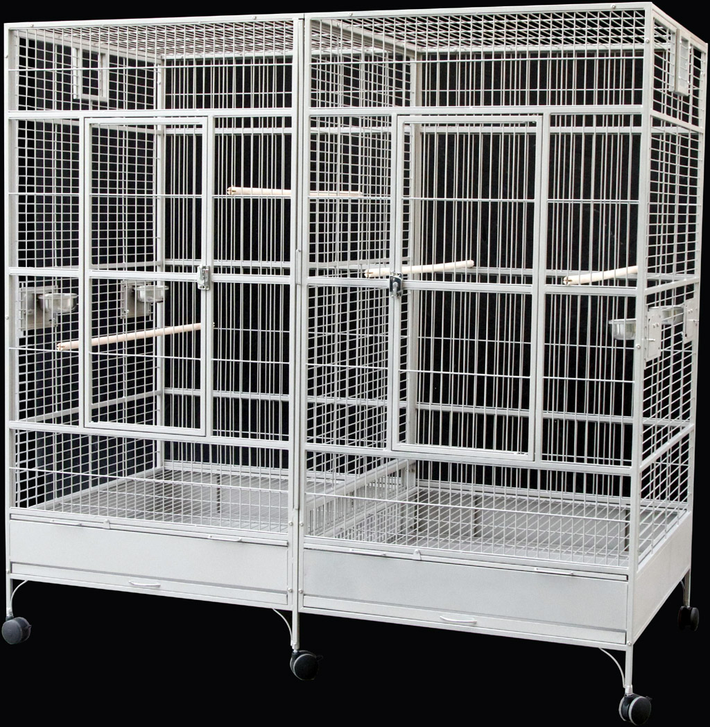 white parrot cage